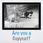 are-you-a-copycat