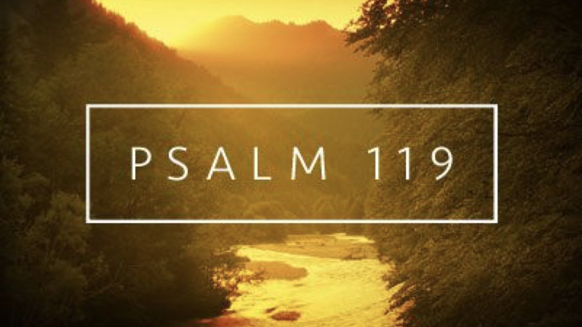 Читать псалом 119. Psalm 119:9.